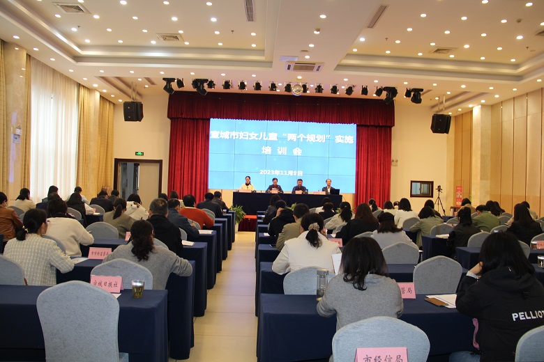 宣城市婦女兒童“兩個(gè)規(guī)劃”實(shí)施培訓(xùn)會.JPG